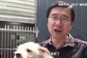 男子养巨型水牛当宠物取名奶糖，网友惊叹反差萌