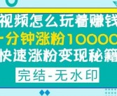 快速涨粉变现的项目：小红书视频号