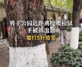 男子喂松鼠被抓伤需接种疫苗 治疗费用超千元