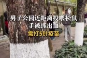 男子喂松鼠被抓伤需接种疫苗 治疗费用超千元