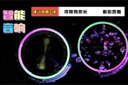 华为Sound Joy 2震撼发布，自研声学架构引领音质新纪元，999元起享极致听觉盛宴！