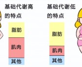 为什么不胖的人也会有小肚子：脂肪多积聚在腹部，揭秘：不胖的人为何也有小肚子？腹部脂肪积聚的奥秘