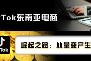 东南亚电商市场竞争激烈：TikTok用户激增，Shopee和Lazada稳居前两位