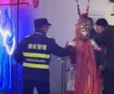 猴群不守规矩，游客裤子遭扒 网友调侃：动物界的“一言堂”