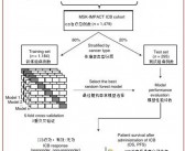 MIT研究利用AI提前五年预警乳腺癌，成果登Science并获LeCun转发