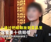 男子因非法售卖一级保护植物野生发菜获刑