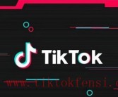 TikTok爆款神器Viggle：视频界的Midjourney？