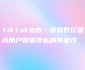 TikTok推出“PrivacyGo”方案，开启数据共享隐私保护新篇章