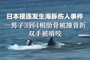 日本男子遭海豚攻击：专家探讨'性受挫'理论