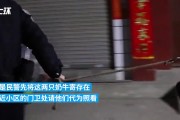 厄瓜多尔高山采冰人遇公牛袭击不幸去世，传统职业面临终结