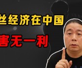 明星光环难掩创业挑战：名与财背后的失败之谜