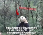 游客在熊猫基地违规飞无人机遭终身禁入，花花和叶受惊